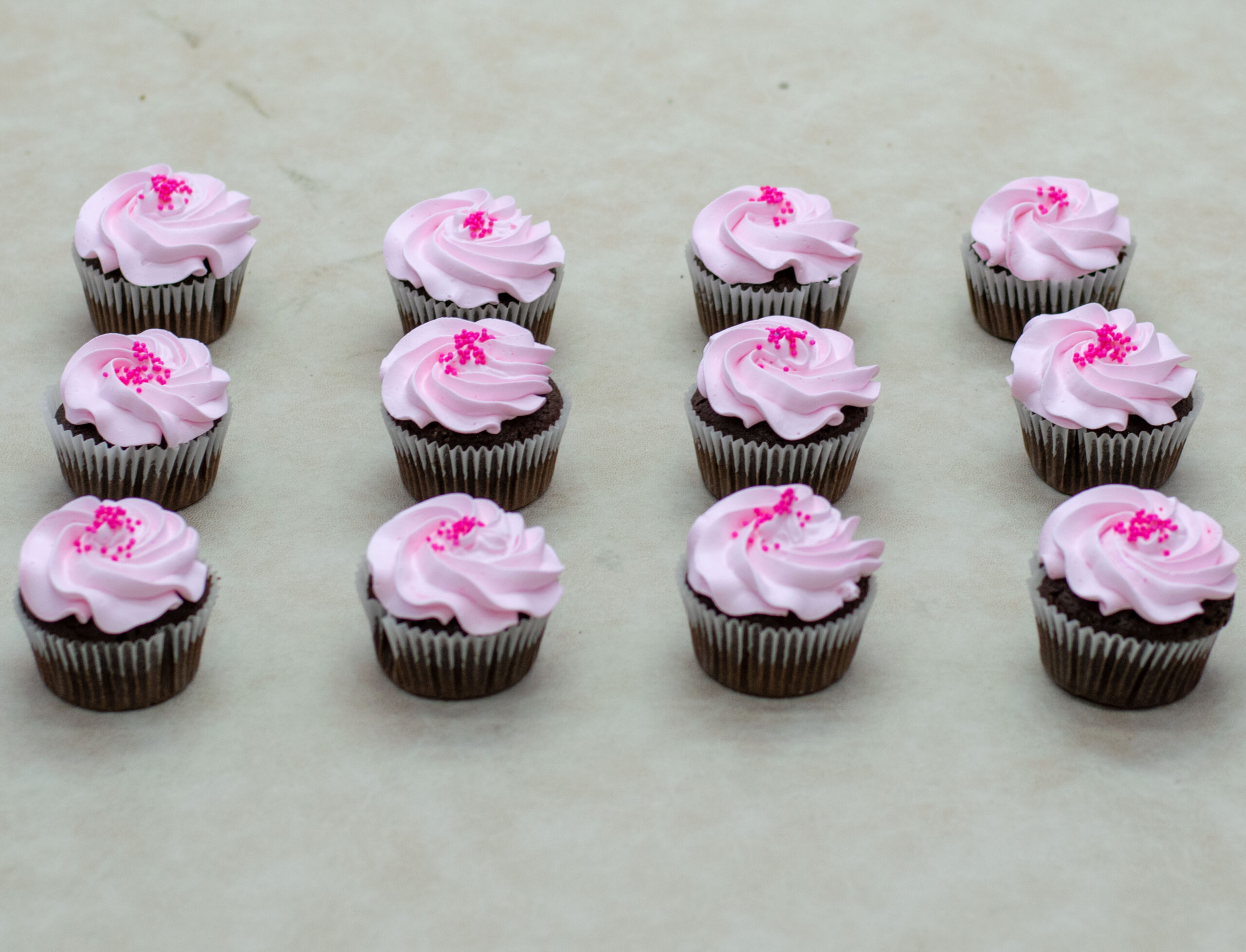 Chocolate Cupcakes- 12 Pieces Chocolate Cupcakes- 12 Pieces