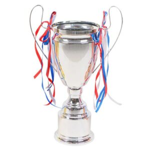 Metallic Silver Winner's Award Trophy