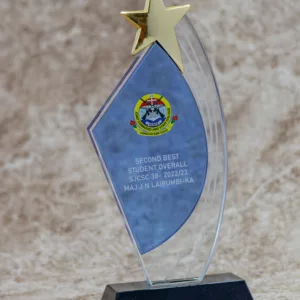 Branded Blue Star Crystal Award Trophy