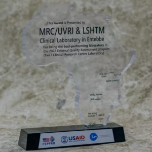 Real Crystal Glass African-Shaped Trophy