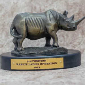 Rhino Cold Cast Sculpture Award