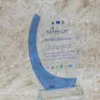 Crystal Slashed Branded Trophy Award