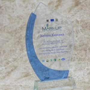 Crystal Slashed Branded Trophy Award