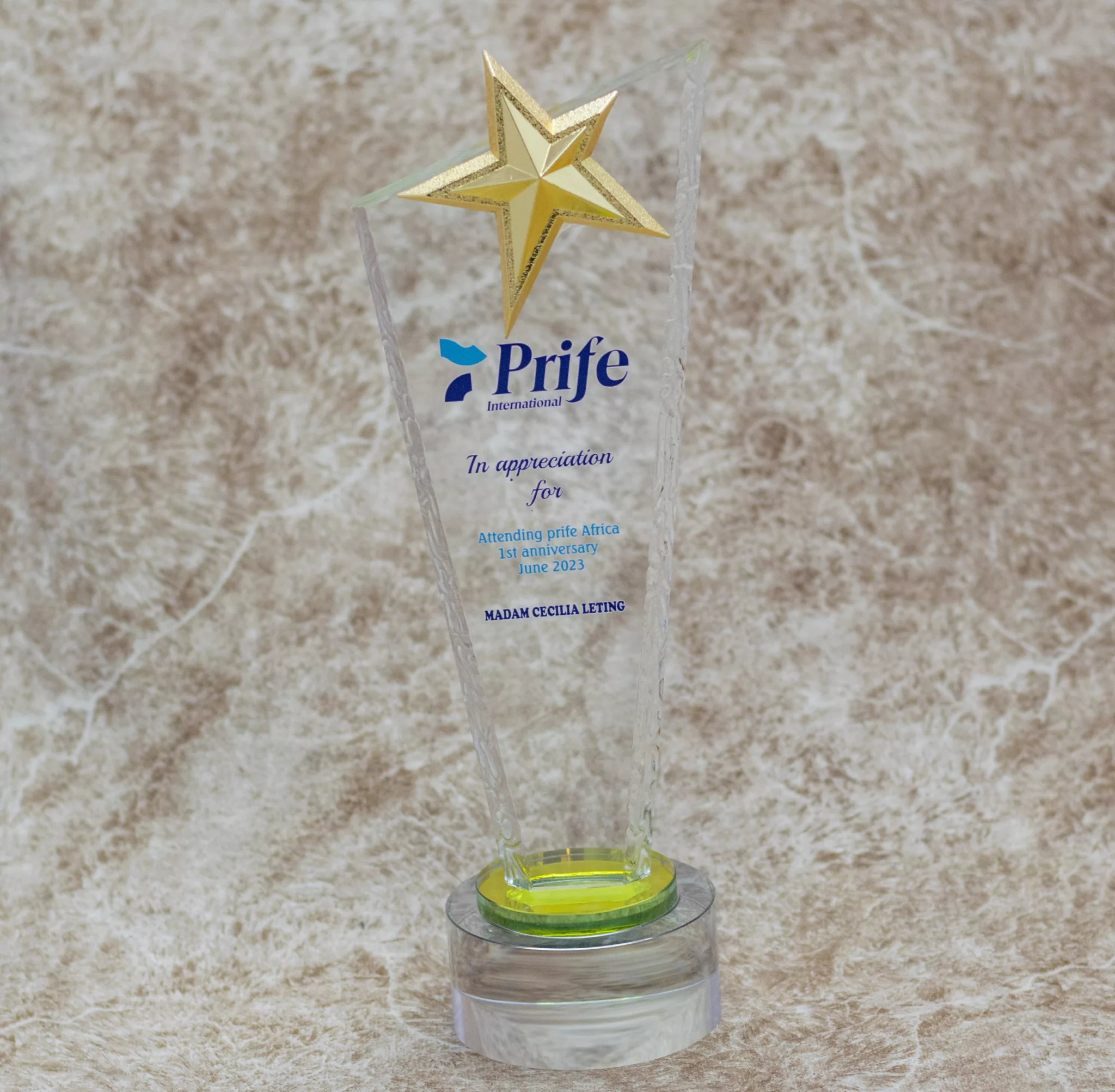 Customized Crystal Award Trophy
