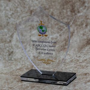 Acrylic  Customized Trophy Award