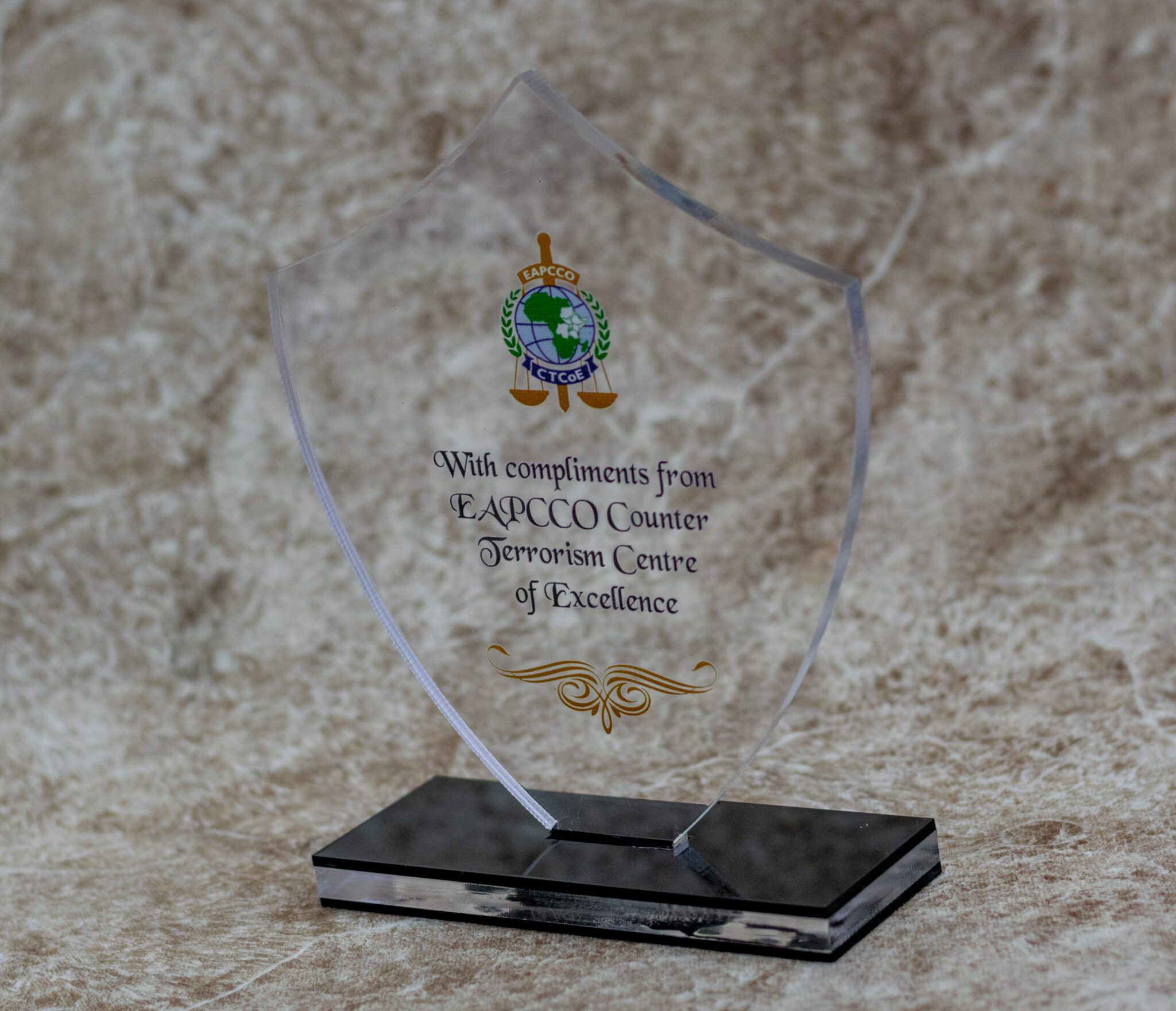 Acrylic Customized Trophy Award