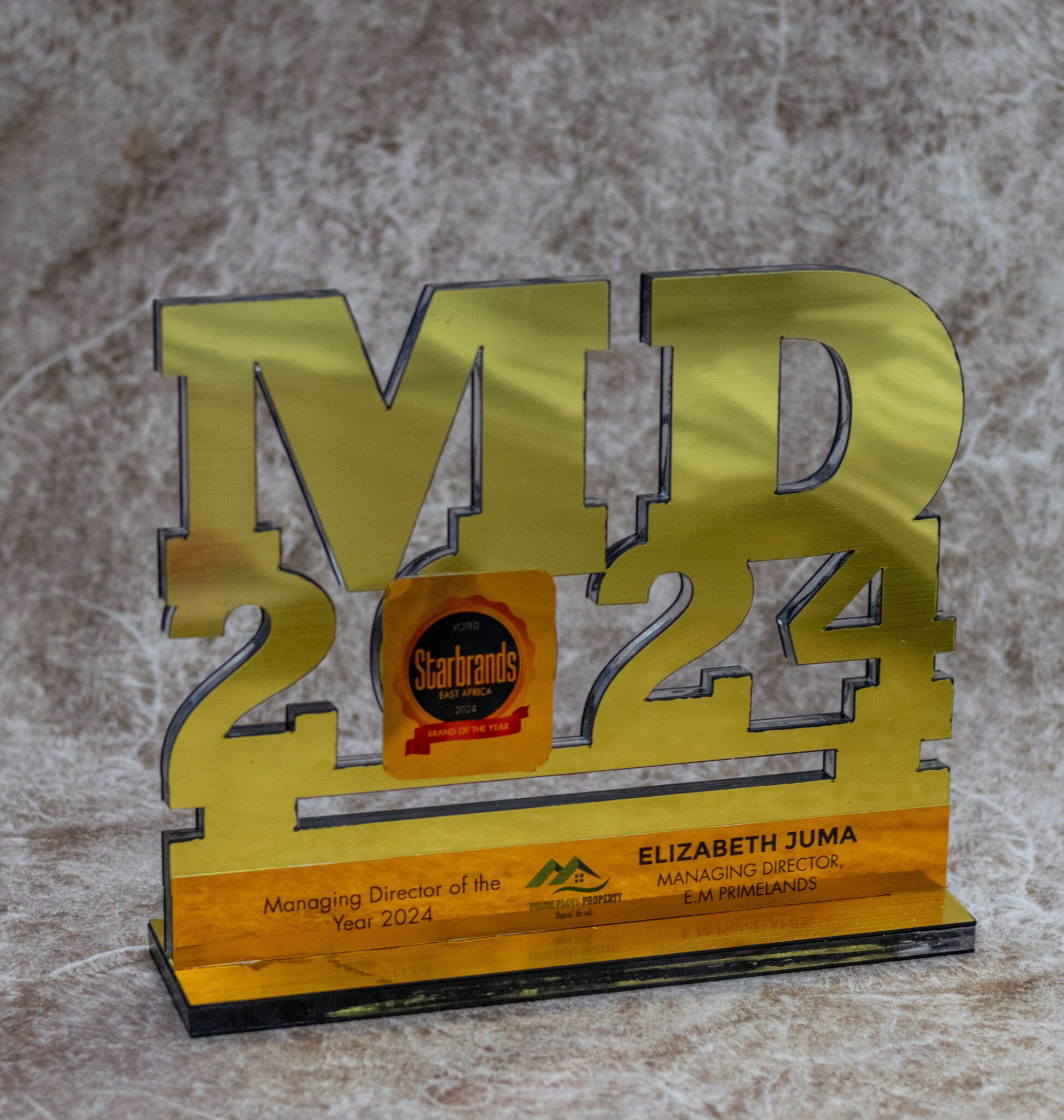 Managing Director Custom made Acrylic Award