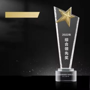 Personalized Star Glass Award Trophy with Presentation Case