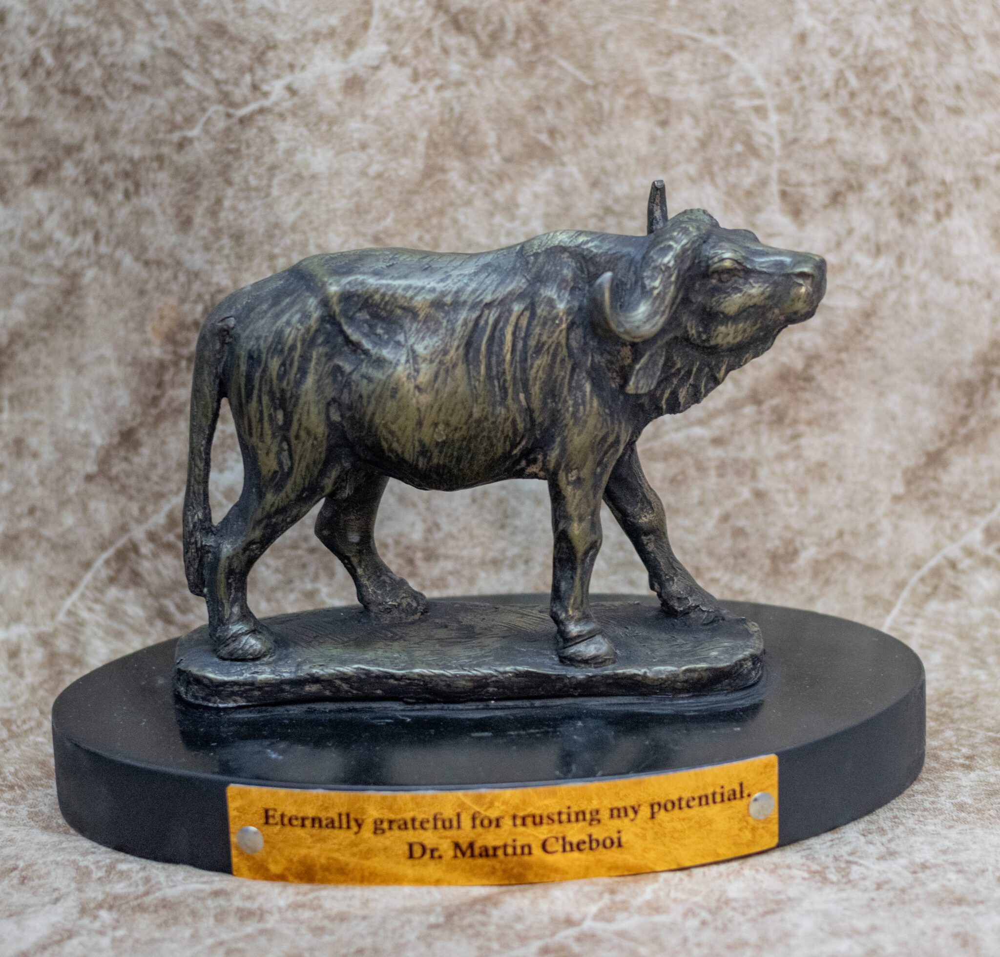 Buffalo Cold Cast Sculpture