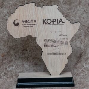 Wooden Africa-shaped Award