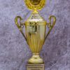 Prestigious Gold Victory Cups - Ultimate Sports & Achievement Awards