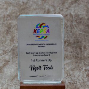 Premium Crystal Awards Trophy