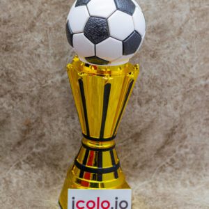 Soccer Trophy – Celebrate Victory with a Stunning Award