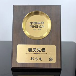 Executive Wooden Plaque with Gold Medallion - Premium Recognition Award