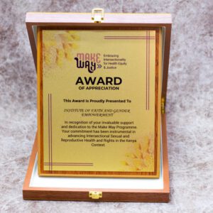 Customized Trophy Award