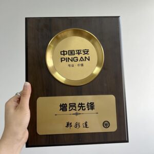 Premium Handcrafted Shield Plaque