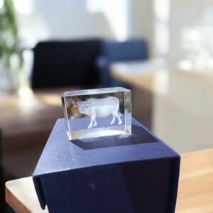 3D Laser-engraved Crystal Buffalo