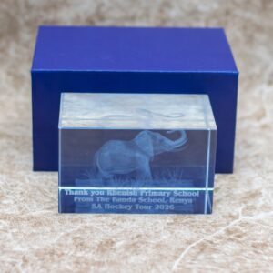 premium 3D laser-etched crystal award