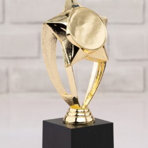 Golden Star Achievement Trophy