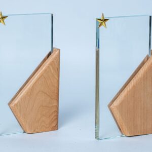 Handcrafted Glass and Wood Star Trophy