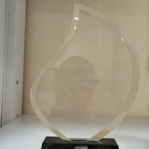 Elegant Crystal Award Trophy