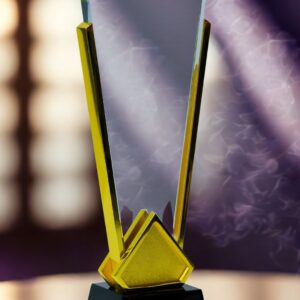 The Pinnacle Leadership Award
