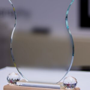 Crafted Crystal Trophy Award