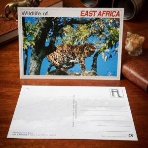Wildlife of East Africa Collector's Postcard