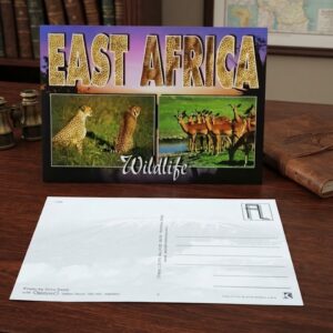East Africa Wildlife Postcard Set